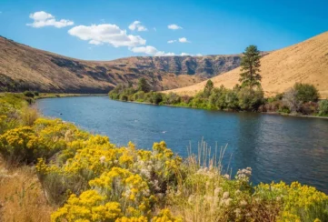 yakima-wa-shutterstock_1032414703