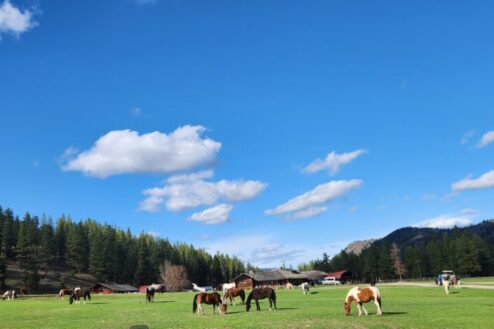 Republic K-Diamond-K